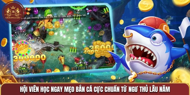Hội viên học ngay mẹo bắn cá cực chuẩn từ ngư thủ lâu năm