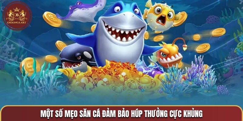 Một số mẹo săn cá đảm bảo húp thưởng cực khủng