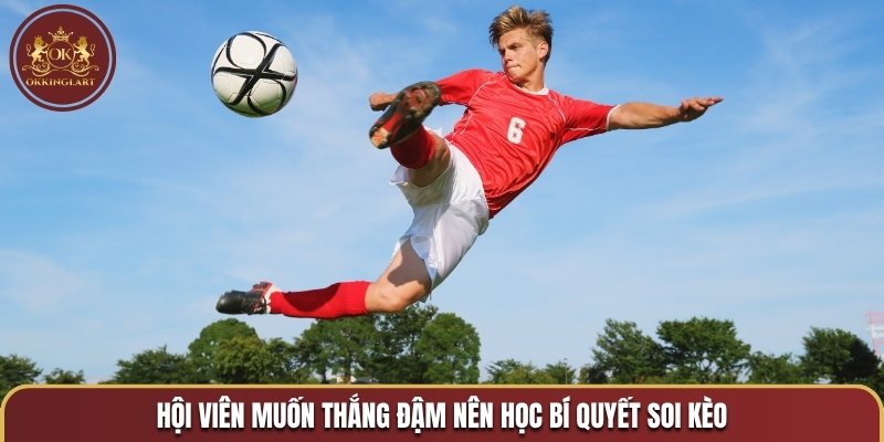 Hội viên muốn thắng đậm nên học bí quyết soi kèo 