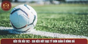 Kèo tài xỉu