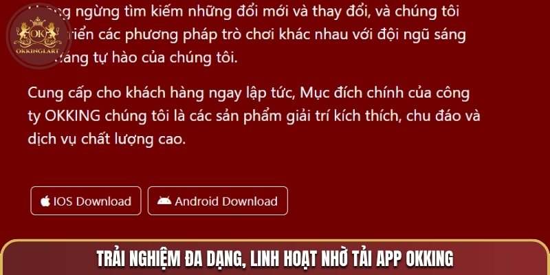 Trải nghiệm đa dạng, linh hoạt nhờ tải app OKKING